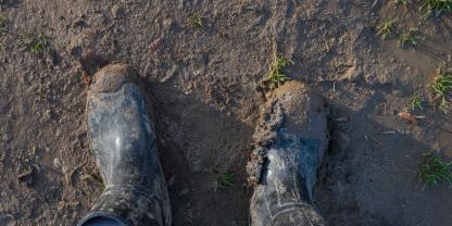 Die Ackerkontrollfahrt eines Landwirts aus Brandenburg endet vorzeitig, weil er die Tragfähigkeit seines Bodens überschätzt hat. SYMBOLBILD
