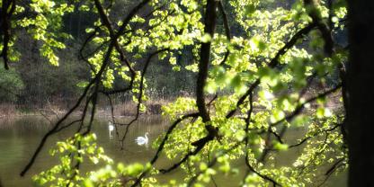 Wasserelemente steigern oft die Erholsamkeit von Orten.