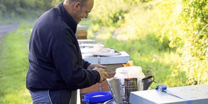Bei der zweiten Durchsicht Ende März prüft Ralf Kolbe die Brutentwicklung und die Legeleistung der Königin.