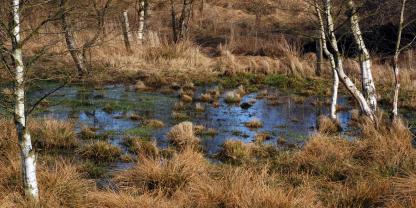 Im Kriegsfall bieten Moore eine natürliche Barriere, die für feindliche Truppen nur schwer zu überwinden ist.