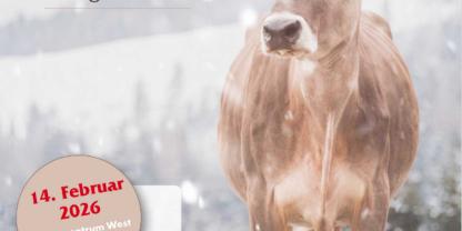 Premiere in Imst: Am Samstagh, 14. Februar findet mit dem Royal Prestige Sale eine besondere Eliteauktion statt.