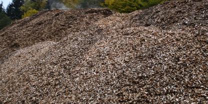 Hackschnitzel Haufen