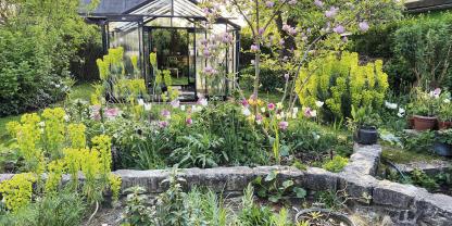 Zur Mittagszeit wird das Gewächshaus vom Birnbaum beschattet.