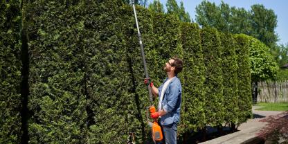 Hecke-schneiden-AdobeStock_644613367