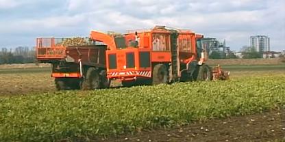 Eine alte Landmaschine bei der Zuckerrübenernte