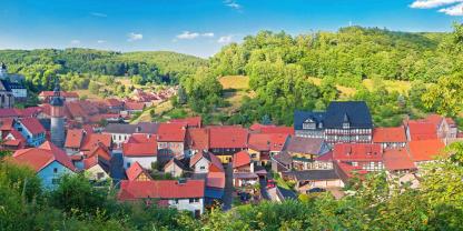 Ein Waldkauf im Südharz sorgt für großes Aufsehen.