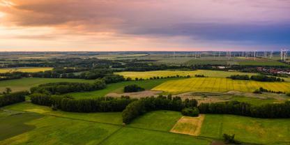 Felder Sachsen-Anhalt