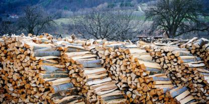 Brennholz-Aussenbereich-Wald-AdobeStock_254437832