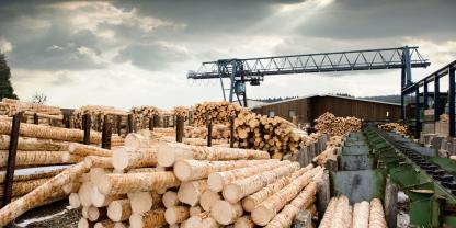 Die Lager der österreichischen Sägeindustrie sind gut bevorratet.