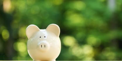 Wald zertifizieren und dabei sparen: Das will FSC zeitlich befristet ermöglichen.