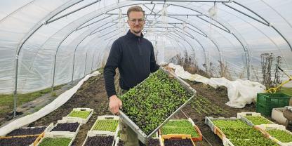 Julien Goldner in seiner Gemüsegärtnerei. Noch müssen die die Abnehmer seiner Abokisten warten, aber dann werden sie per E-Mail über das aktuelle Angebot informiert.