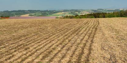Gülle zur Maisaussaat