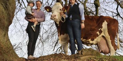 Fleckviehkuh mit zwei Frauen und einem Kind unter einem Baum