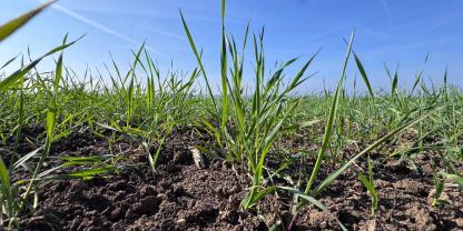 Auch 2026 werden viele Landwirte in Deutschland wieder mit Trockenheit konfrontiert.