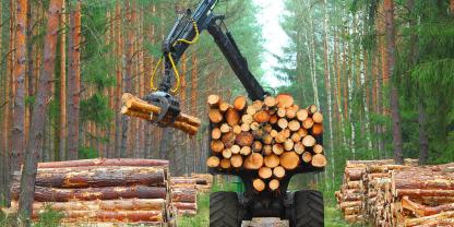 Waldarbeiten-AdobeStock_143157324