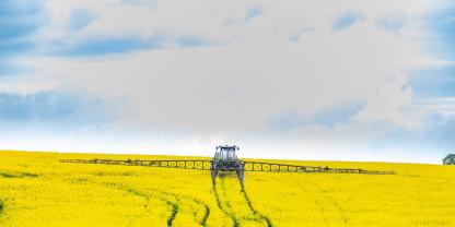 Dünger-Raps-AdobeStock_336611319