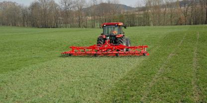 Grünlandpflege nach Vegetationsbeginn: Wüchsiges Wetter lässt die Gräser rasch wieder aufstehen.