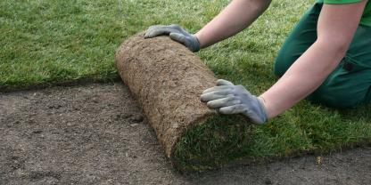 Rollrasen-AdobeStock_42715181