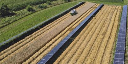 Getreideernte auf einer Agri-PV-Anlage mit Trackern.