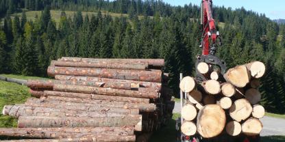 Holztransport-Holzlager-AdobeStock_9646136