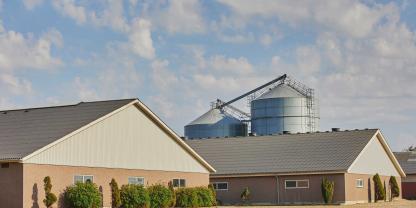 Ein dänischer Bauernhof mit Schweinehaltung