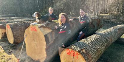 Dieser Eichenstamm erlöste über 11.000 €.