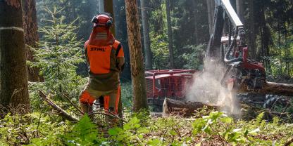 Ein Forstwirt steht in Funkverbindung zum Maschinenfahrer.