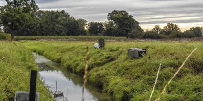 Nutria-Fallen-Graben