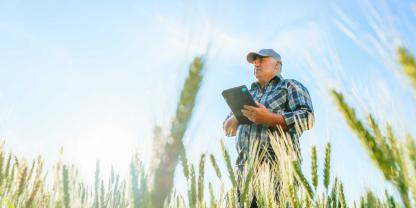 Ein Landwirt steht mit einem Tablet im Getreide