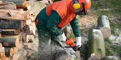 Brennholz-machen-AdobeStock_337408424