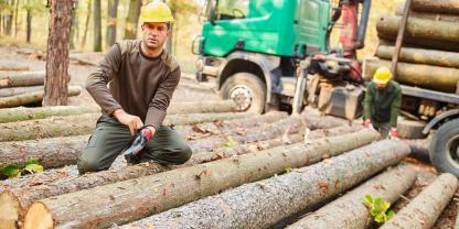 Waldarbeiten-Holz-AdobeStock_317450882