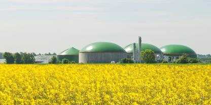 Biogasanlage an einem Rapsfeld.