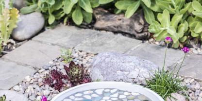 Hingucker im Steinbeet: Hier baden und trinken nicht nur Vögel.