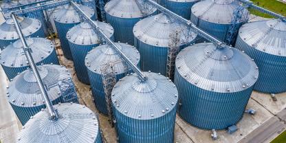 Biotreibstoff-Produktion-AdobeStock_377278316