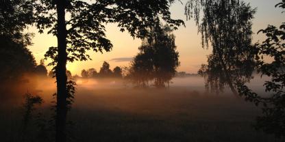 Unter bestimmten Bedingungen dürfen Landwirte auf GLÖZ 2-Flächen die Grasnarbe erneuern.