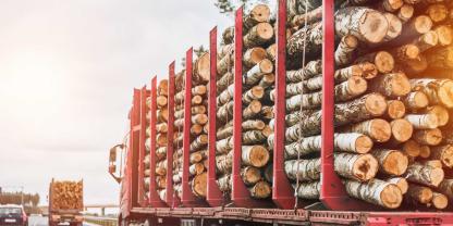Ein Holztransporter auf einer Straße