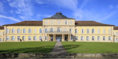 Das Naturkundemuseum Stuttgart und die Uni Hohenheim, im Bild das Schloss, in dem Teile des Universitätsbetriebs stattfinden, publizierten den deutschen Erstnachweis in „Zootaxa“ für eine invasive Art.