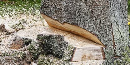 doppelter Fallkerb mkg