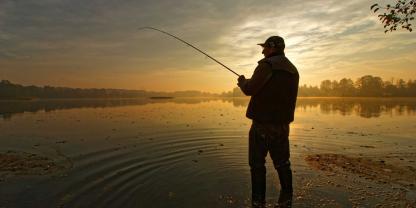 Gefahren von invasiven Arten im Süßwasser werden oft unterschätzt.