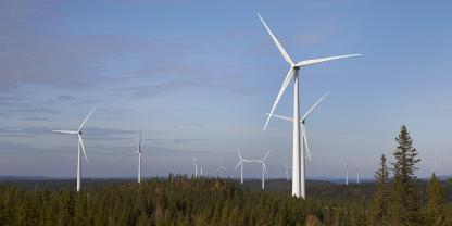 Windkraft: Motor für den Wald von morgen