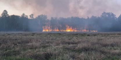 Ein brennendes Moor in Norddeutschland