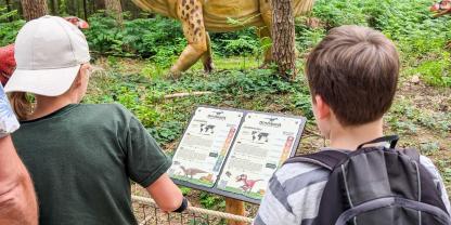 Spannend: So sahen die Urzeitviecher aus.