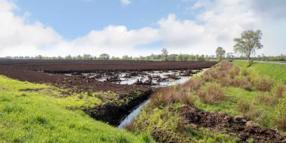 Ein Moor in Niedersachsen