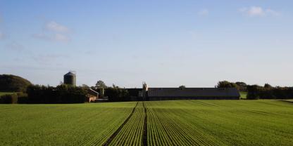 Ein Acker und ein Bauernhof in Dänemark