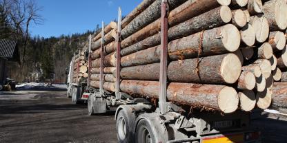 Nachhaltige Holzenergie statt fossiler Brennstoffe wirkt sich auch auf die Luftreinheit aus.