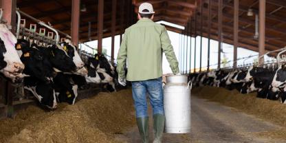 Landwirt_Stall_RinderhaltungAdobeStock_1081488975