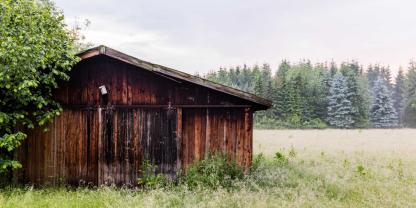 Forsthütte-AdobeStock_133118905