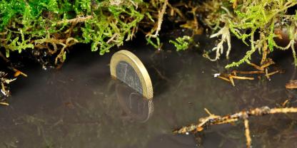 Landwirte können für eine Wiedervernässung ihrer Moorflächen jetzt eine Förderung aus einem großen Geldtopf erhalten.Foto: adobe stock/unikat