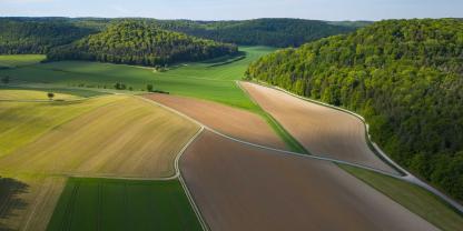 Wald-Felder-Deutschland-AdobeStock_1497389954