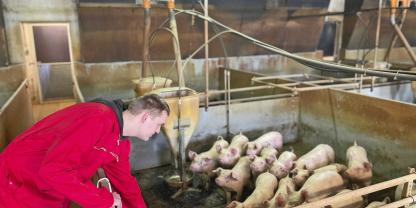 Der Junglandwirt kennt aber selbstverständlich auch alle anderen Arbeiten, wie hier im Flatdeck.